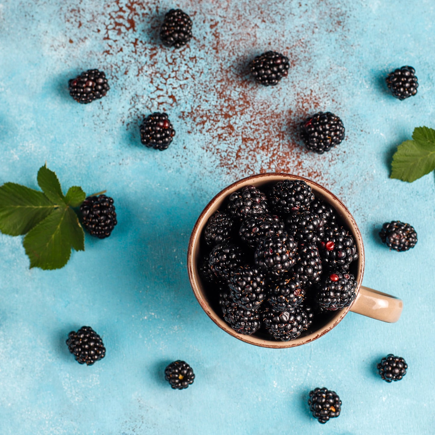 Acai_Berry_Oil_2