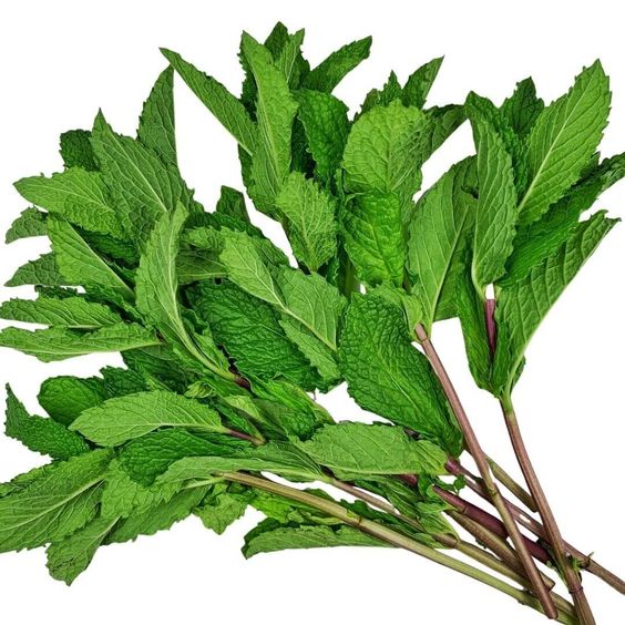 Dried_mint_1