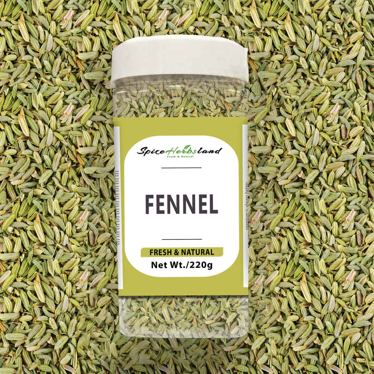 Fennel_SH9_P