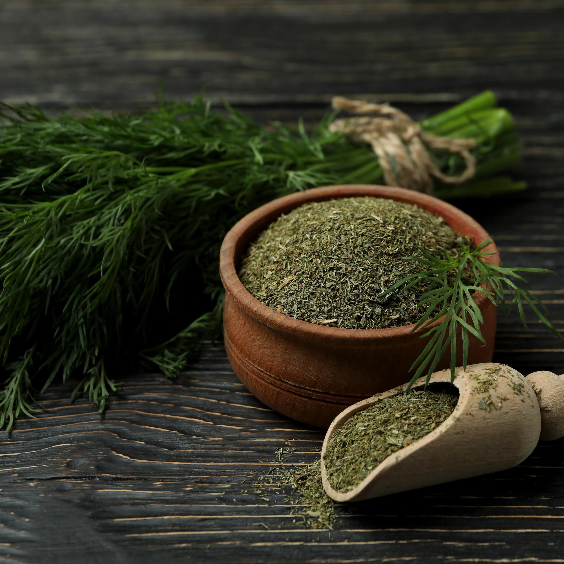 Dill_dried_2