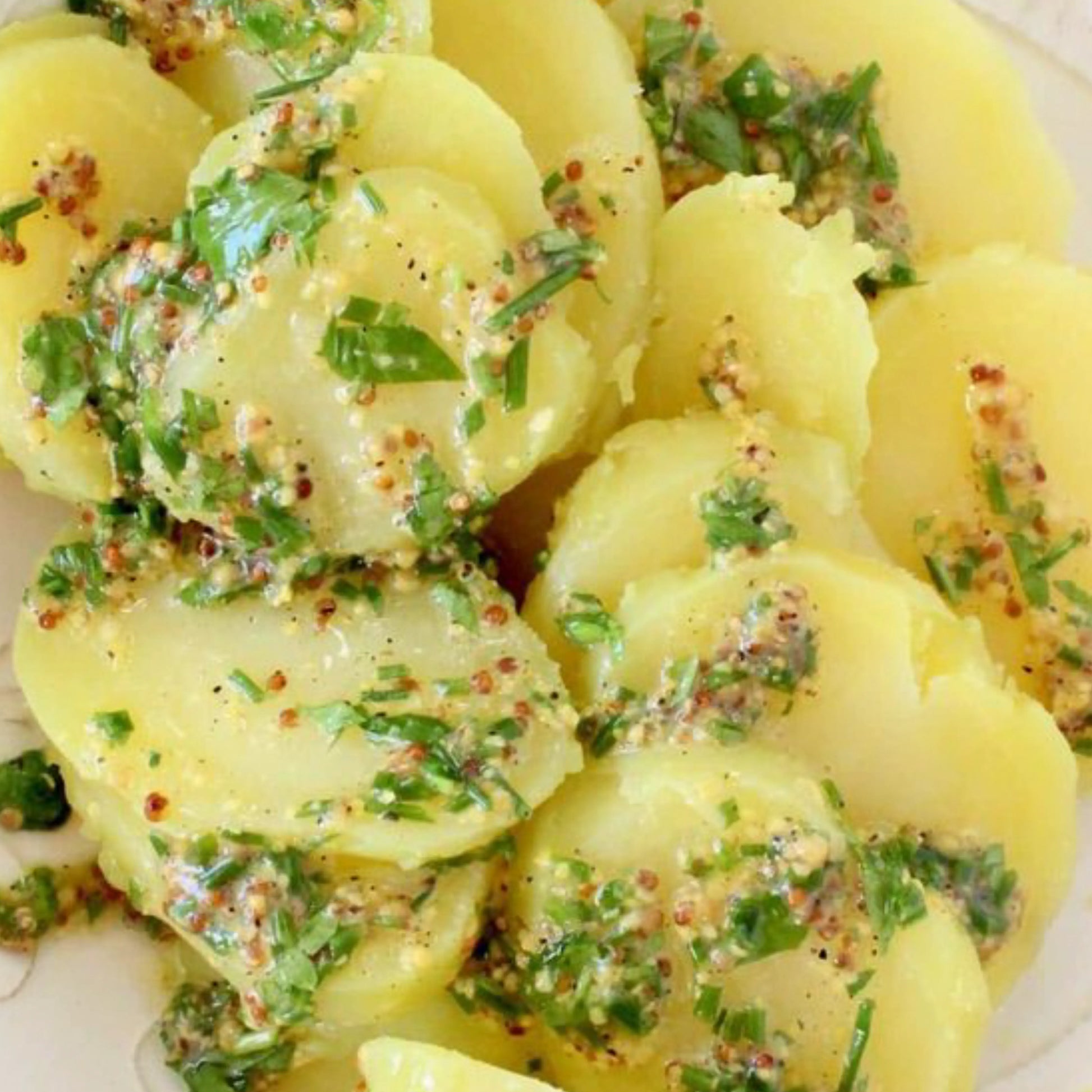 Tarragon_SH32_1