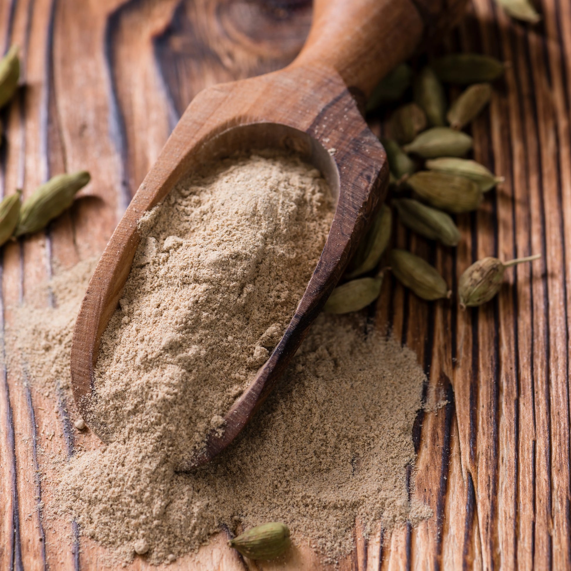 Cardamom_ground_2