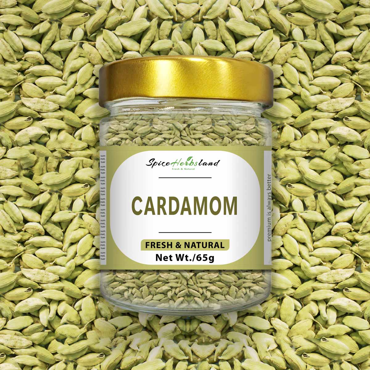 Cardamom_SH12