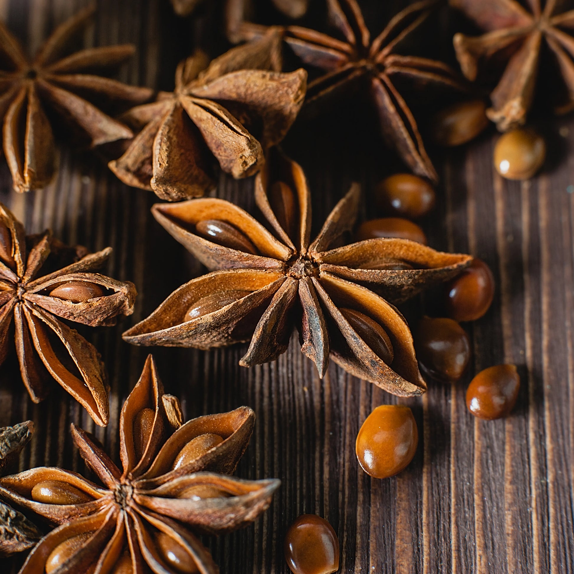 Anise_star_or_Badiam_2