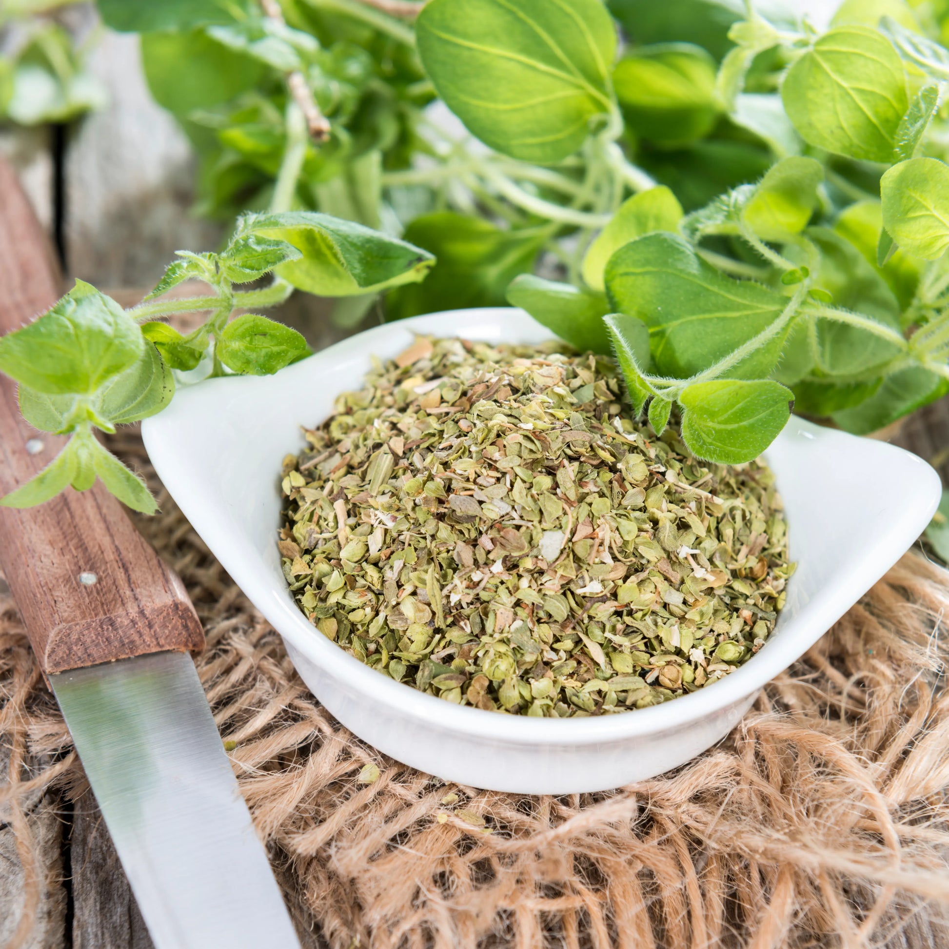 Oregano_1