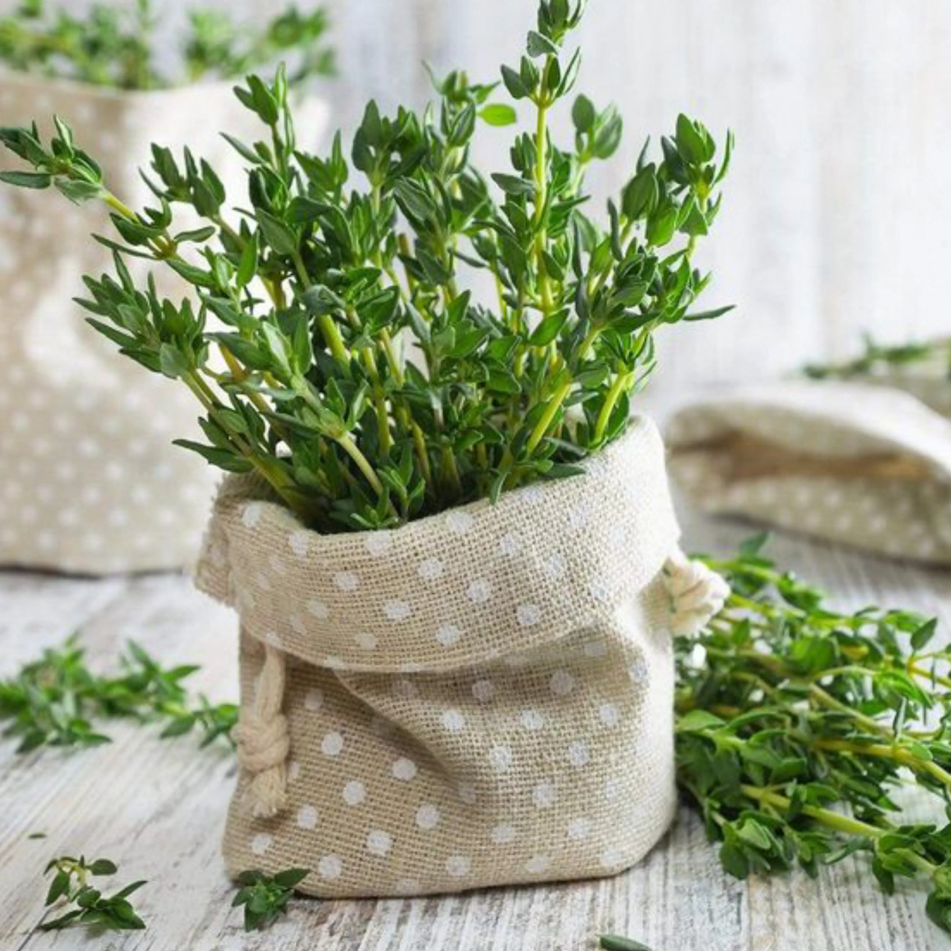 Thyme_1